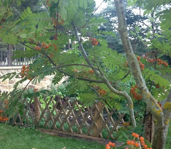 Ranchales Gospodarstwo wiejskie Vinuesa