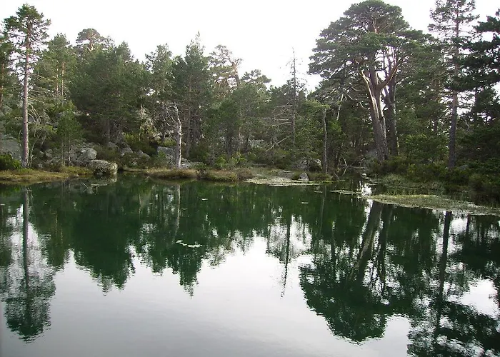 カントリーハウス Ranchales